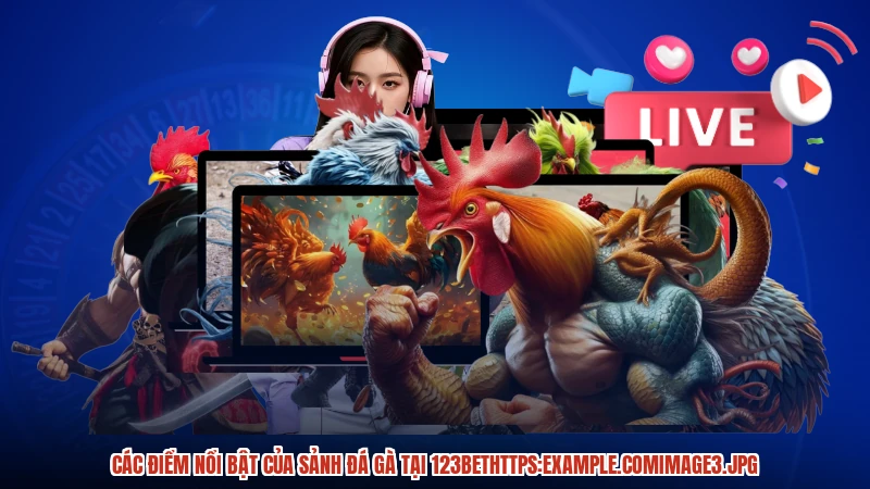 Các điểm nổi bật của sảnh đá gà tại 123BET:comimage3